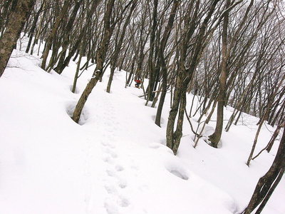 ● 早春の雪斜面だね