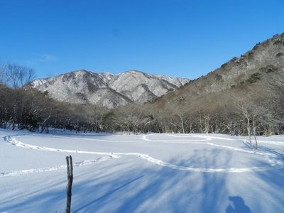 1.JPG (57.4 KiB) 閲覧された回数 10294 回 ハートがふたつ