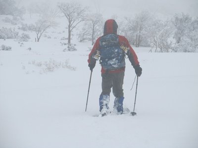 IMG_7926.jpg (66.85 KiB) 閲覧された回数 12295 回 後ろ姿は誰でしょう?