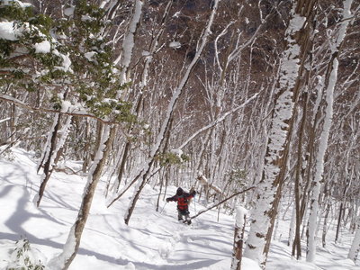とれりん追い付く