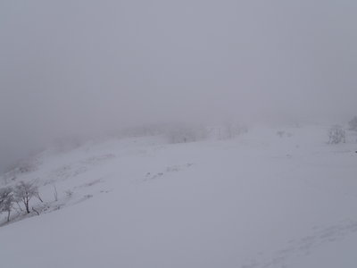 ホワイトアウト