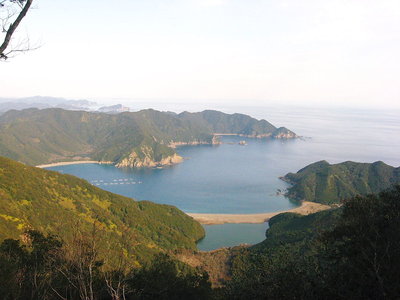 ● 帰り道、天神さんに薄月の池。今度はココだな思う