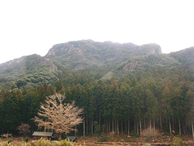 ●　切り間の八、渡世人の母屋かな。いい眺めだよなあ