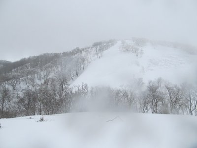 レンズに雪付いた。