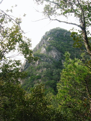 ● 険しい岩稜上部だけ、未だ下に同じくらいあるよ