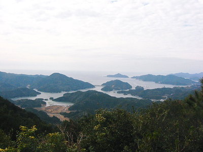● すぐ下が、贄湾漁港だよ