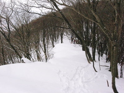 ● 荷駄ケ岳沿いのセッピ、カタクリ峠まで戻ってたら安全圏だわナア