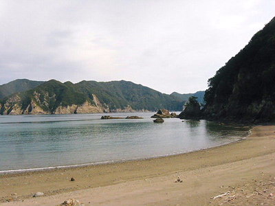 ● キレイな海だよね、大桑ガマの住人は漁業権持たないはホンとですか。