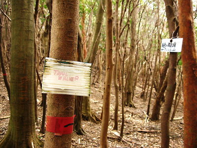 ● これってダレ？２０年ぐらい前のカナ