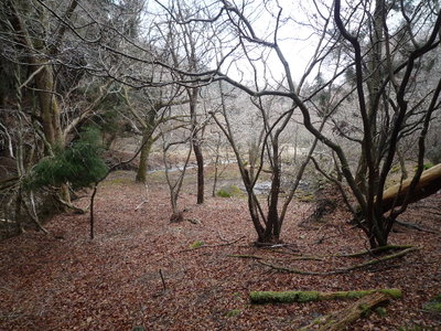 テン場になりそうな沢