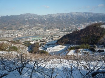 P1050994.jpg (158.38 KiB) 閲覧された回数 9590 回 紀の川の南側斜面を巻いてゆく