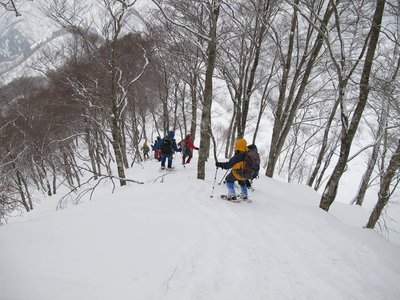 これくらい雪がなくちゃキズだらけの人生だよん。