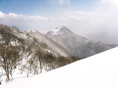 ● 藤原岳には戻ってない？？ココまで来てたら小屋は目の先ダモンな。