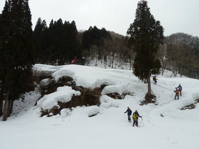 飛び降りたらダメよ～