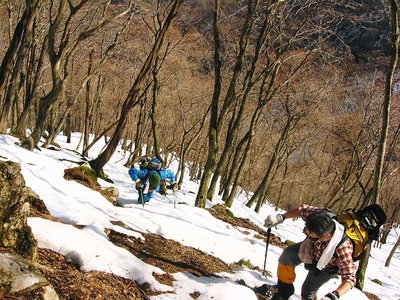 ● きついんだよなあ、陽当たり伊から雪は融ける