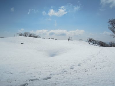 青のドリーネ.JPG (141.92 KiB) 閲覧された回数 58421 回 青のドリーネ