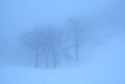 oike0001284.jpg (138.48 KiB) 閲覧された回数 5057 回 長谷川さんより