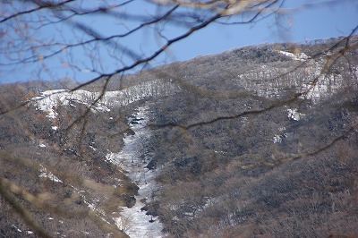 流ヶ洞上流部　右端に大木が見える
