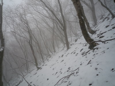 01伊勢尾上部.JPG (807.79 KiB) 閲覧された回数 14310 回 伊勢尾上部