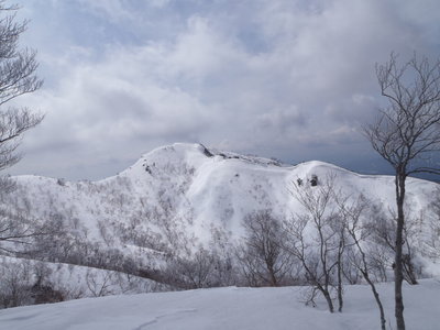 P3100069.JPG (701.09 KiB) 閲覧された回数 8941 回 金糞岳