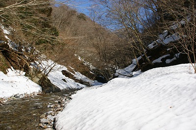 はあるのおがわはさらさらいくよ♪