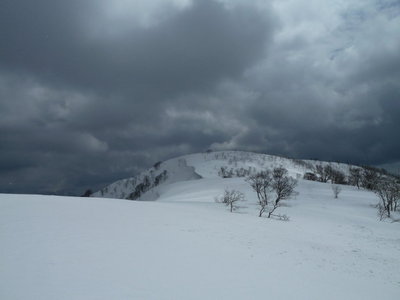 1277.2mから望む金糞岳