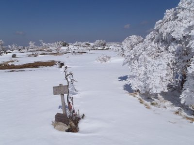 P3140090.JPG (219.54 KiB) 閲覧された回数 3804 回 ibune