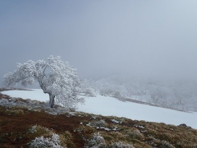 奥ノ平峰にて。