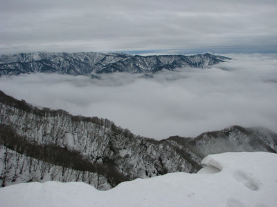 雲海が見られるとは