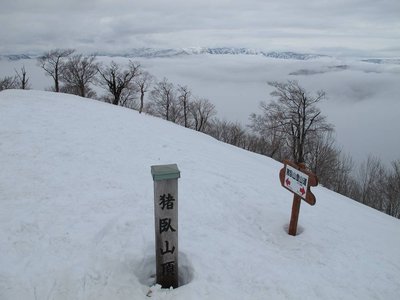 展望の利かない山頂でした