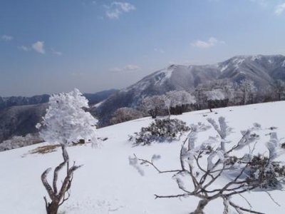 テーブルランド