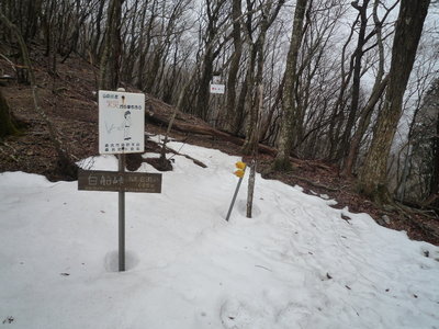 01白船峠(1).JPG (831.77 KiB) 閲覧された回数 8602 回 白船峠