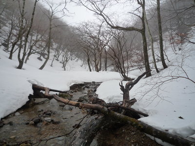 02真の谷テン場(1).JPG (806.25 KiB) 閲覧された回数 8606 回 真の谷テン場