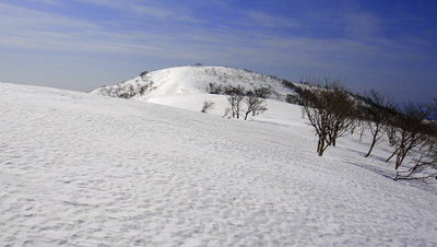 △1277.2mから見た金糞岳山頂
