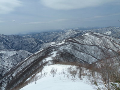 左千方から谷山、安蔵山への尾根