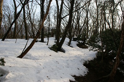 尾根に乗ったあたり