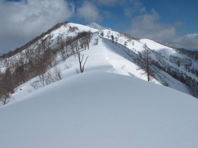 晴れればこんなに気持ちいいのにね