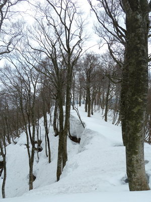 谷山～安蔵山の稜線