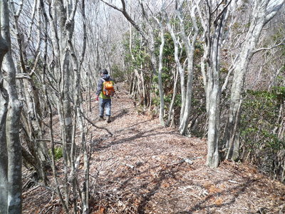 04気持のよい縦走路(1).JPG (897.23 KiB) 閲覧された回数 8281 回 気持のよい縦走路