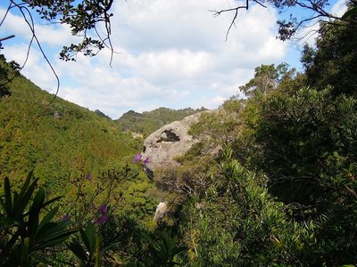 熊野・神内ゴトヒキ岩と咲きだしたミツバツツジ。