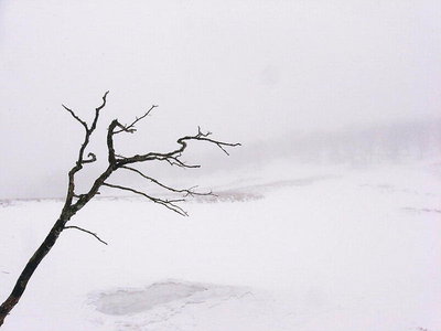 ● 奥の平は白の世界