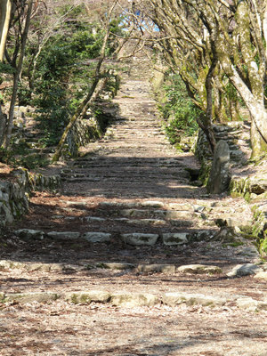 鶏足寺の石段と僧坊跡