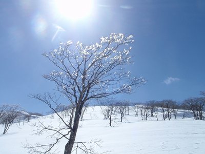 ・1211からは光る雪面をブラブラと