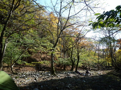 10 11 06_3922(1).JPG