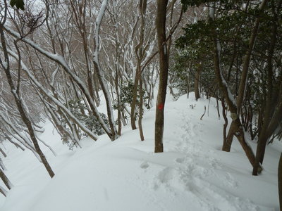 P1050265_1_1.JPG (233.96 KiB) 閲覧された回数 12503 回 寒山付近の自分のトレース