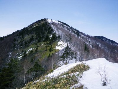 IMGP20098 (14)s.JPG (75.24 KiB) 閲覧された回数 11081 回 坊主岳