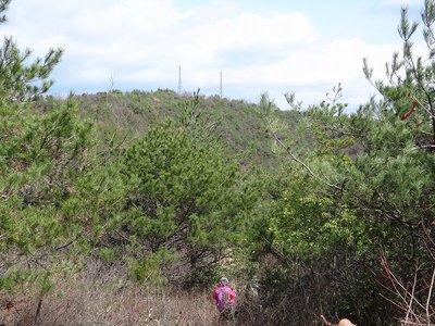 DSC00289.jpg (194.06 KiB) 閲覧された回数 7370 回 鳩吹山