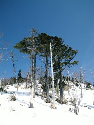 仏谷からの下山