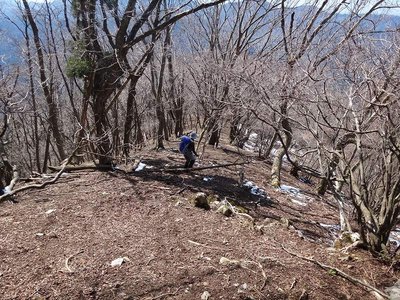 DSC00315.jpg (198.5 KiB) 閲覧された回数 5704 回 毛ズラオの頭から急降下