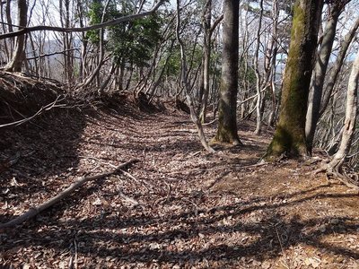 DSC00316.jpg (198.14 KiB) 閲覧された回数 5709 回 ビン坂峠道の様子